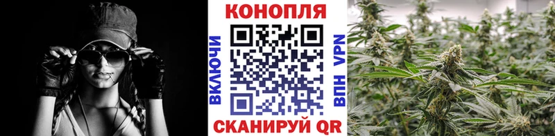 сколько стоит OMG зеркало Бошки марихуана конопля Галич